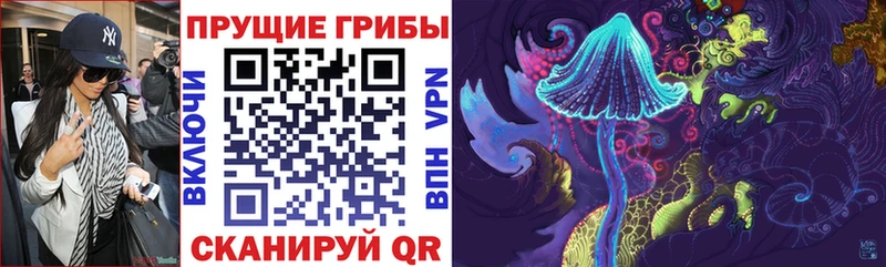 Купить где  Луховицы  Галлюциногенные грибы Cubensis 